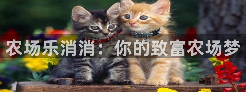 沐鸣2注册连接