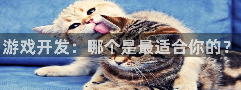 沐鸣2注册说来77542
