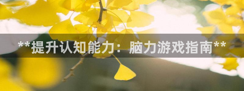 沐鸣2代理官网