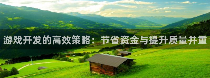 沐鸣娱乐2不能注册：游戏开发的高效策略：节省资金与提升质量并重