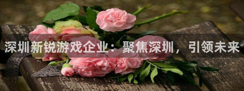沐鸣娱乐2登陆不上怎么办：深圳新锐游戏企业：聚焦深圳，引领未来