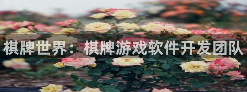 沐鸣2平台代理注册：棋牌世界：棋牌游戏软件开发团队