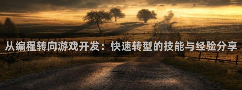 沐鸣娱乐平台2注册：从编程转向游戏开发：快速转型的技能与经验分享