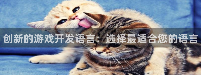 沐鸣2登录地址：创新的游戏开发语言：选择最适合您的语言