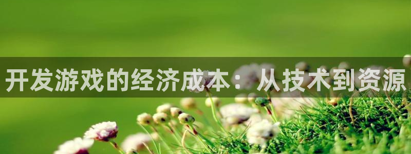 沐鸣娱乐2注册官网：开发游戏的经济成本：从技术到资源