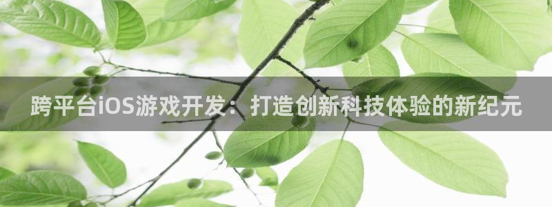 沐鸣娱乐2官方网站注册链接：跨平台iOS游戏开发：打造创新科技体验的新纪元