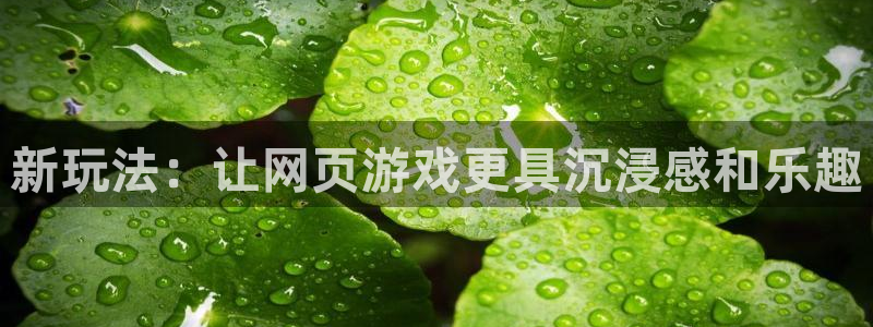 沐鸣娱乐2登录平台：新玩法：让网页游戏更具沉浸感和乐趣
