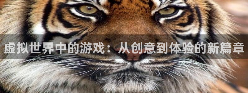 沐鸣2代理注册：虚拟世界中的游戏：从创意到体验的新篇章