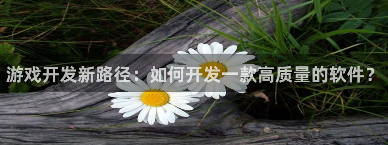 沐鸣2账号注册：游戏开发新路径：如何开发一款高质量的软件？