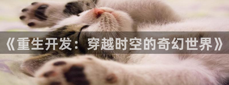 沐鸣2注册网站：《重生开发：穿越时空的奇幻世界》