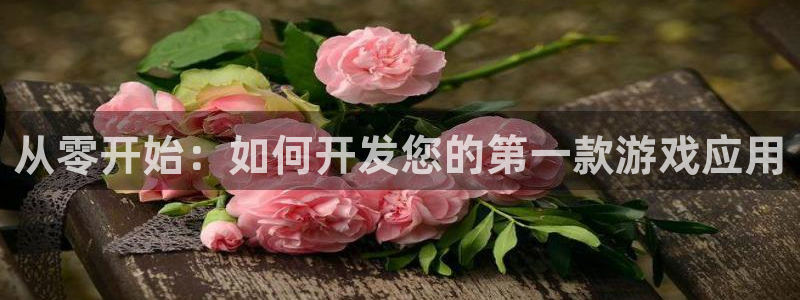 沐鸣2登陆：从零开始：如何开发您的第一款游戏应用