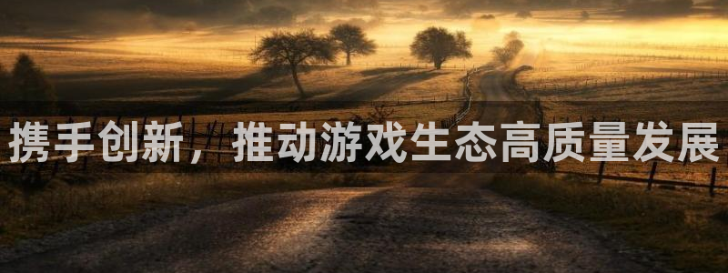 沐鸣娱乐2返点：携手创新，推动游戏生态高质量发展