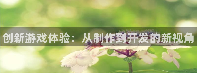 沐鸣娱乐2上来77542：创新游戏体验：从制作到开发的新视角