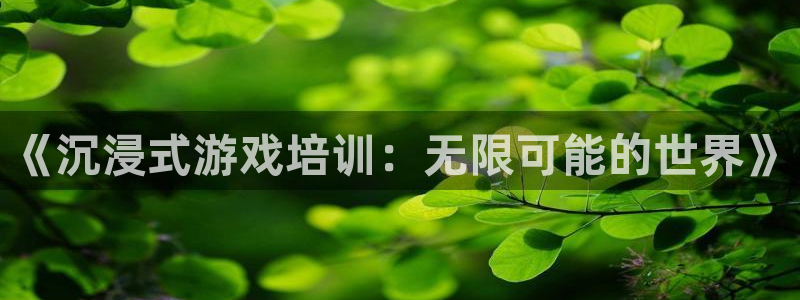 沐鸣2平台线路：《沉浸式游戏培训：无限可能的世界》