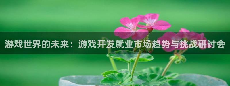 沐鸣娱乐2登录：游戏世界的未来：游戏开发就业市场趋势与挑战研讨会