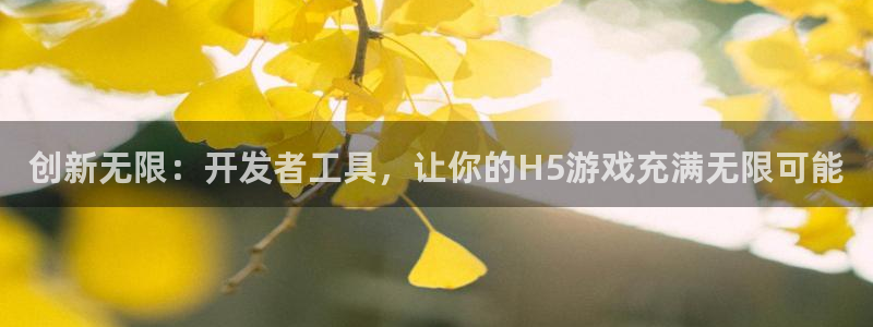 沐鸣娱乐2官网网址是多少：创新无限：开发者工具，让你的H5游戏充满无限可能